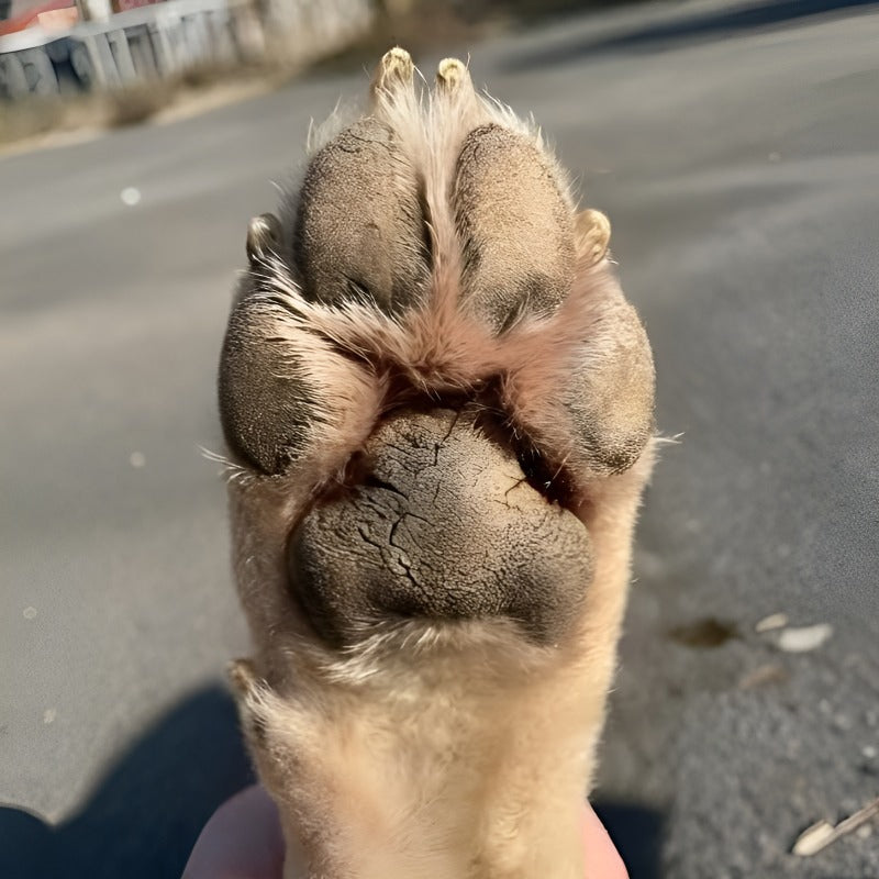 PURE PAW SHIELD™
